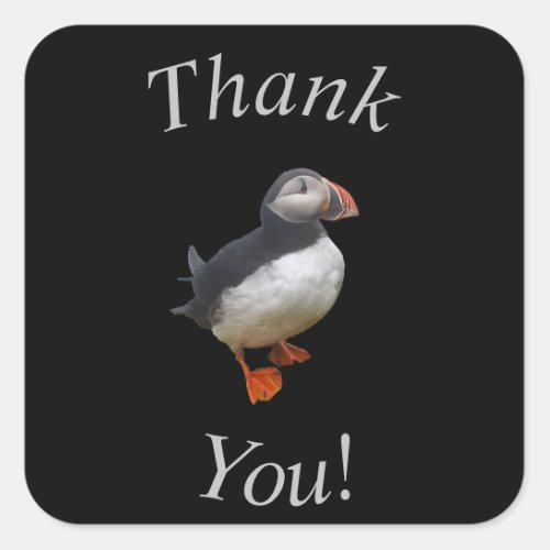 Cute Puffin Thank You Sticker  Envelope Seal