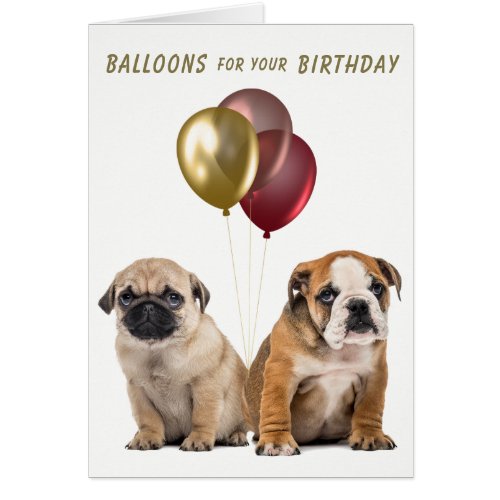 Cute Pug and Bulldog Puppies Birthday Card