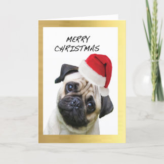 "Cute Pug" design Christmas cards