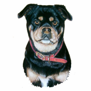 cute pug dog animal portrait art sculpture pin