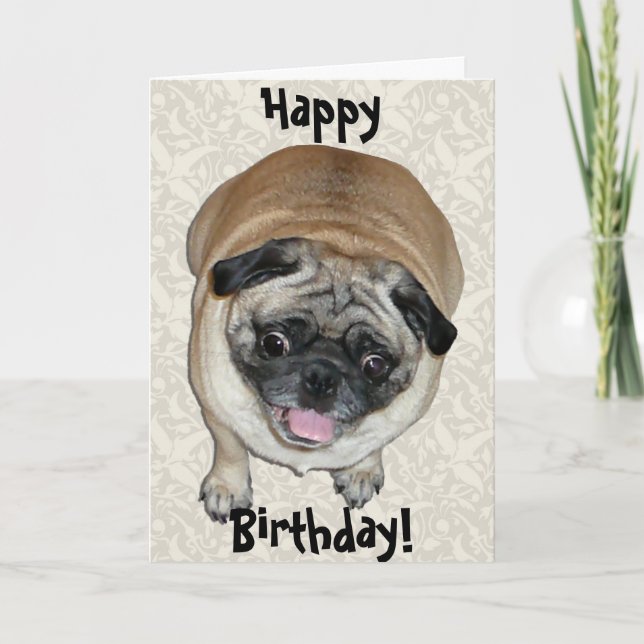 Cute Pug Dog Birthday Card (Front)