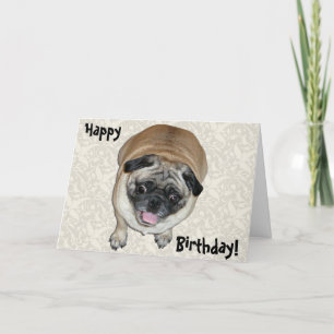Cute Pug Dog Birthday Card