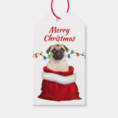 Cute Pug Dog in Santa Bag Gift Tags