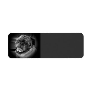 Cute Pug Dog Label