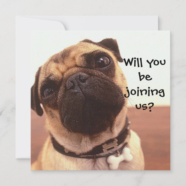 Cute Pug Dog Personalized Party Invites (Front)