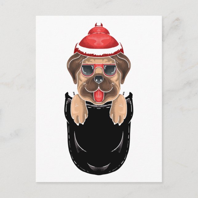 Cute Pug Dog Sits in Pocket Postcard (Front)