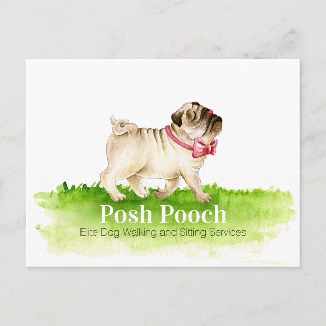 Cute pug dog walking and sitting services promo postcard (Front)