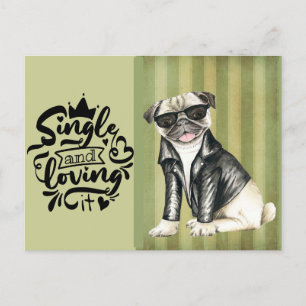 Cute Pug Dude Single And Loving It Valentine Holiday Postcard