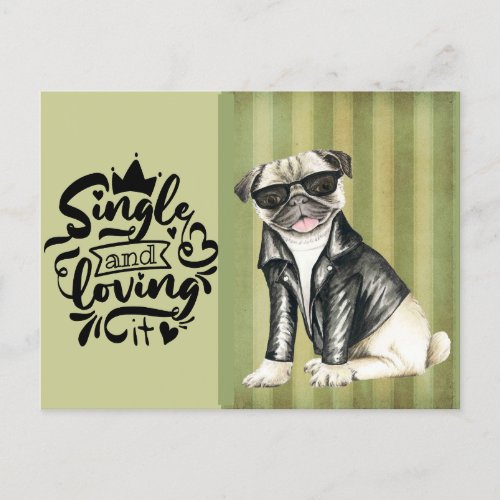 Cute Pug Dude  Single And Loving It Valentine Holiday Postcard
