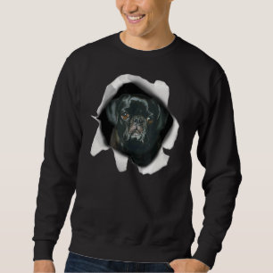 Cute Pug Face  Dog Puppy  Men Women Boys Girls Sweatshirt