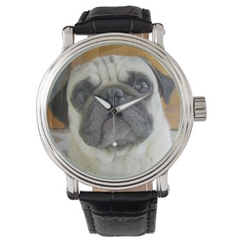 Cute Pug Face Wrist Watch by dogbreedgiftshop at Zazzle