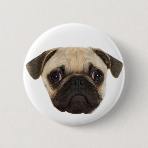 Cute Pug Gifts Pinback Button