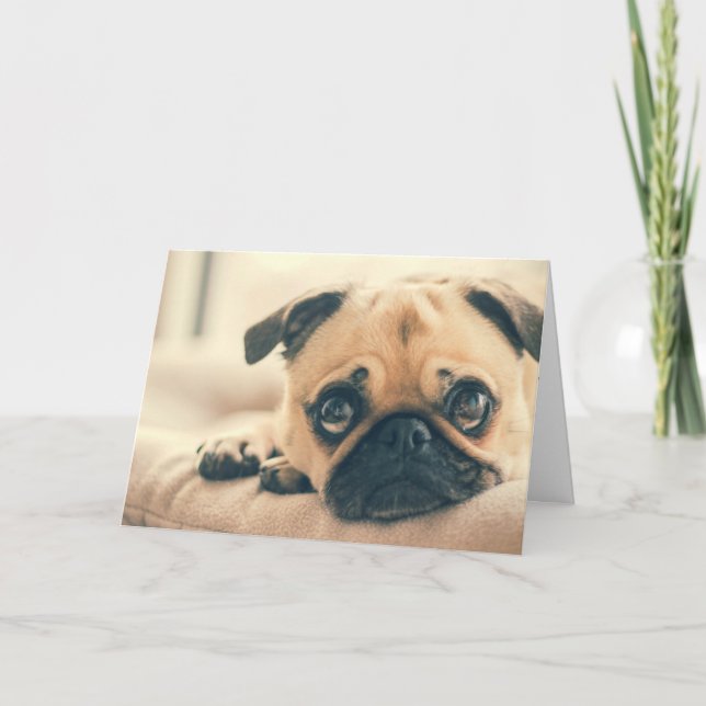 Cute Pug Greeting Card (Front)
