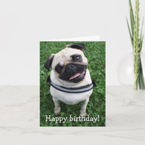 Cute Pug Happy Birthday Greeting Card