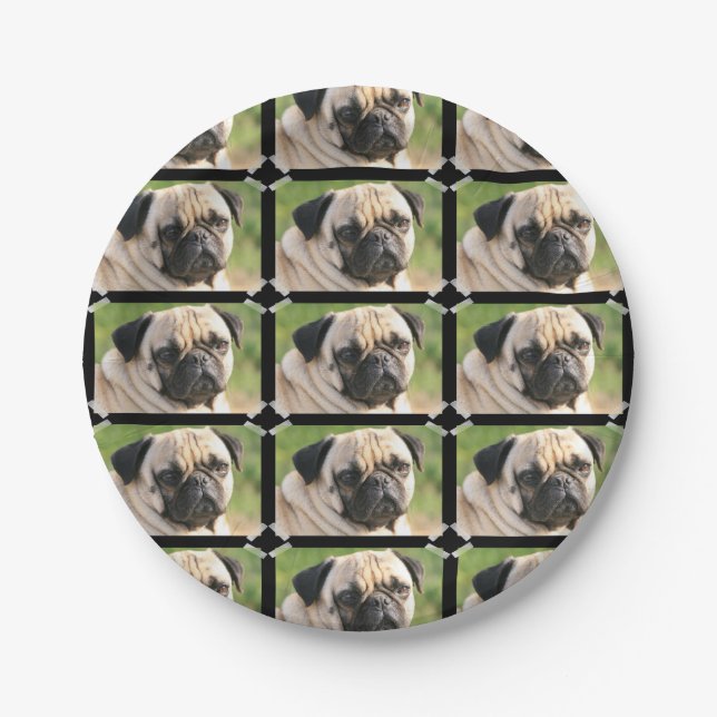 Cute Pug Paper Plates (Front)