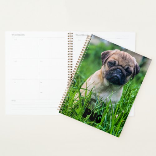 Cute Pug Puppy Calendar Planner