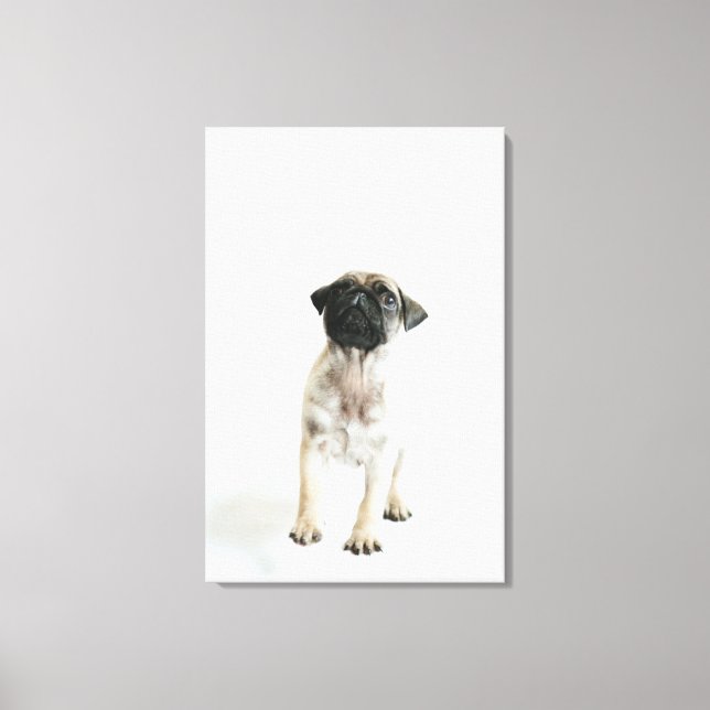 Cute Pug Puppy Canvas Print (Front)