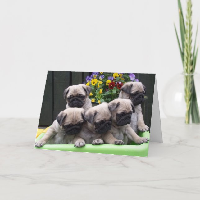Cute Pug Puppy card (Front)