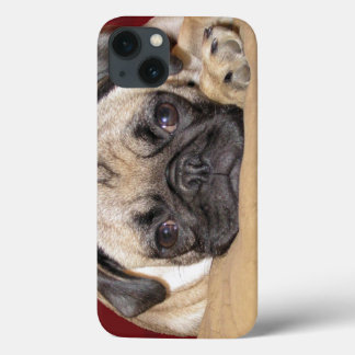 Cute Pug Puppy iPhone 13 Case