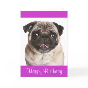 Cute Pug Puppy Dog Happy Birthday Greeting Card