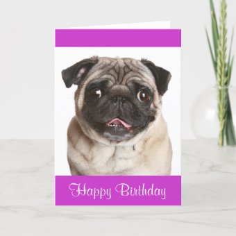 Cute Pug Puppy Dog Happy Birthday Greeting Card | Zazzle