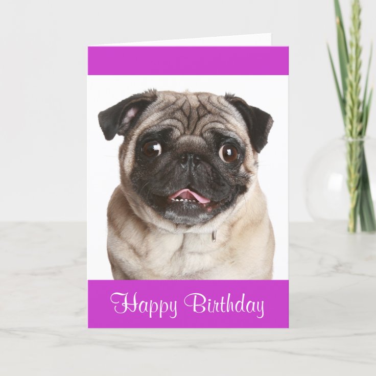 Cute Pug Puppy Dog Happy Birthday Greeting Card | Zazzle