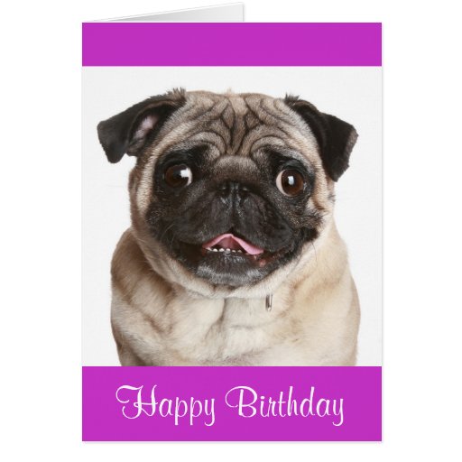 Cute Pug Puppy Dog Happy Birthday Greeting Card | Zazzle