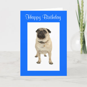 Cute Pug Puppy Dog Happy Birthday Greeting Card