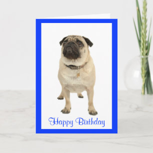 Cute Pug Puppy Dog Happy Birthday Greeting Card