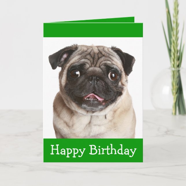 Cute Pug Puppy Dog Happy Birthday Greeting Card (Front)