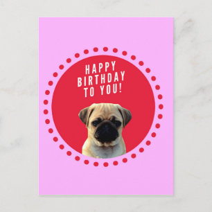 Cute Pug Puppy Dog Happy Birthday Red Dots Pink Postcard