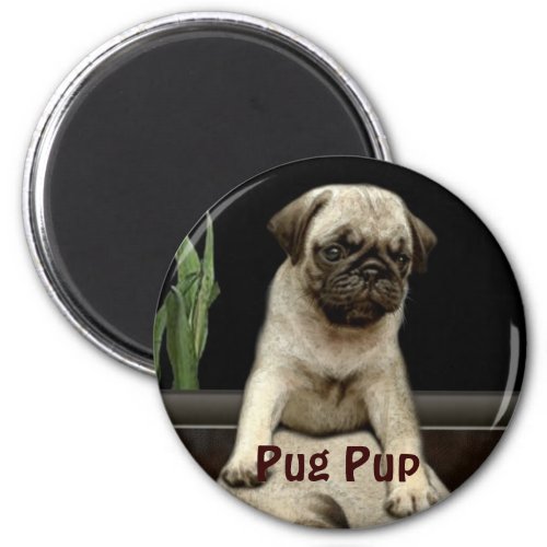 Cute Pug Puppy Dog_lovers Gift Series Magnet