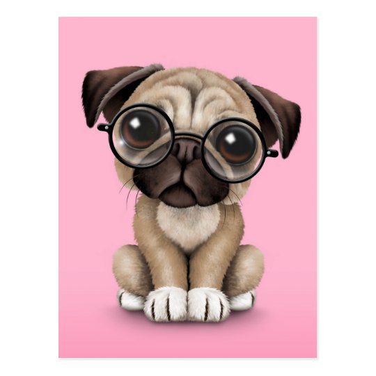 Free Scratch Cards >> Cute Pug Puppy Dog Wearing Reading Glasses, Pink Postcard | Zazzle.com Free Scratch Cards >> Cute Pug Puppy Dog Wearing Reading Glasses, Pink Postcard | Zazzle.com