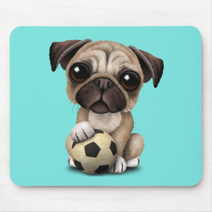 dog soccer ball