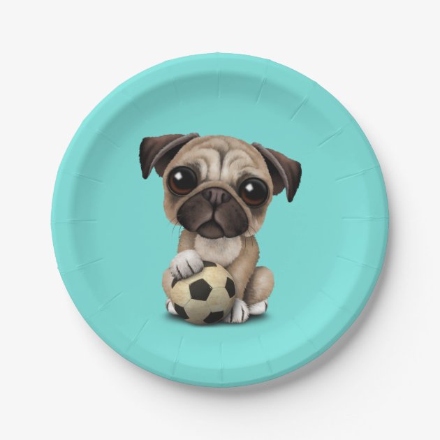 dog on a plate