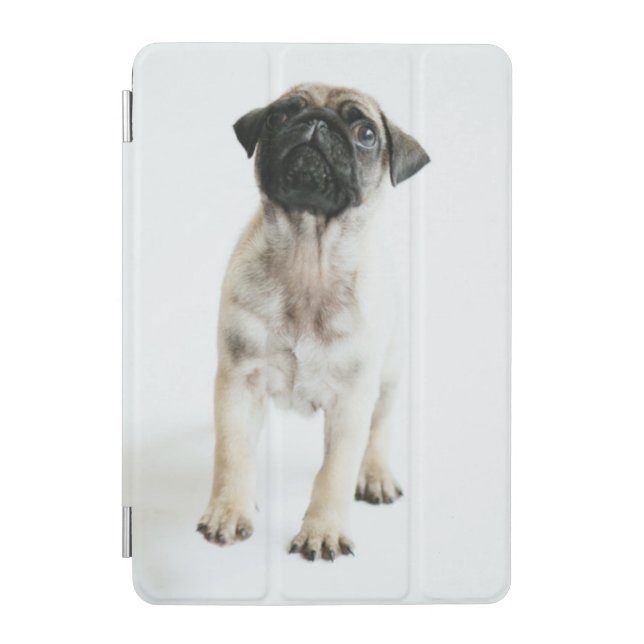 Cute Pug Puppy iPad Mini Cover (Front)