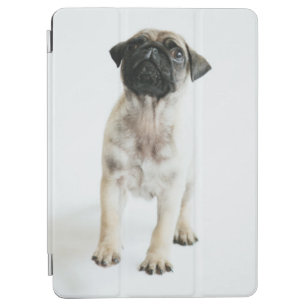 Cute Pug Puppy iPad Air Cover