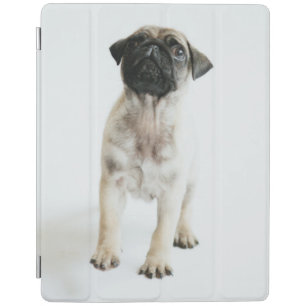 Cute Pug Puppy iPad Smart Cover