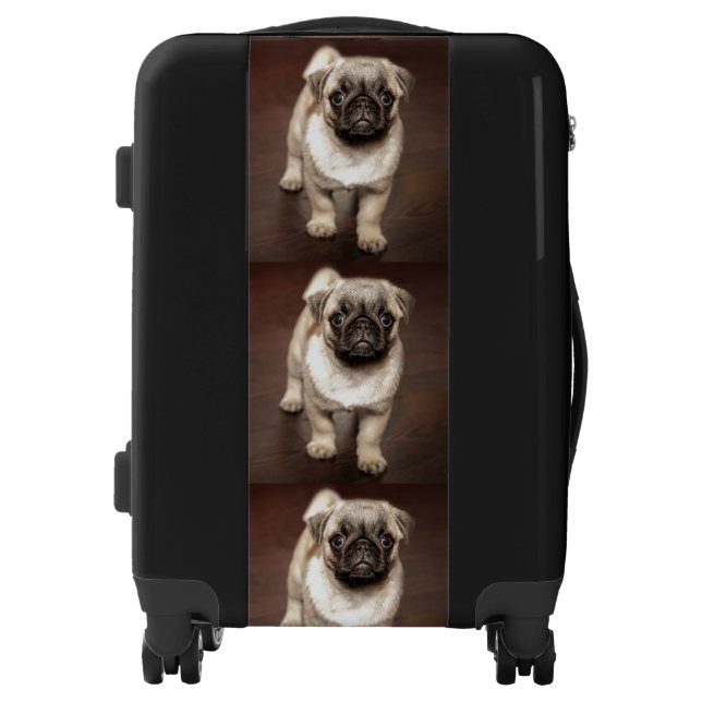 Cute Pug Puppy Luggage (Front)
