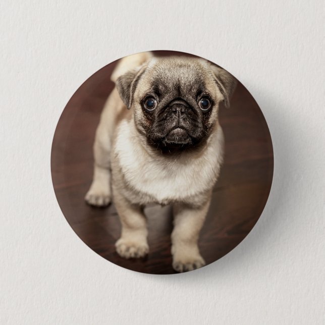 Cute Pug Puppy Photo Button (Front)