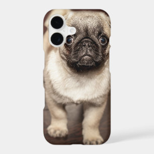 Cute Pug Puppy Photo iPhone 17 Case