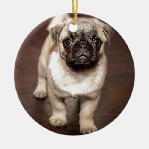Cute Pug Puppy Photo Ceramic Ornament