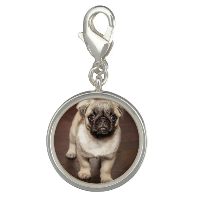 Cute Pug Puppy Photo Charm (Front)