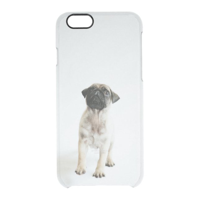 Cute Pug Puppy Uncommon iPhone Case (Back)