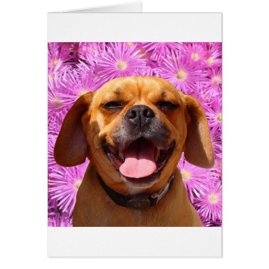 Cute Puggle Cards (Front)