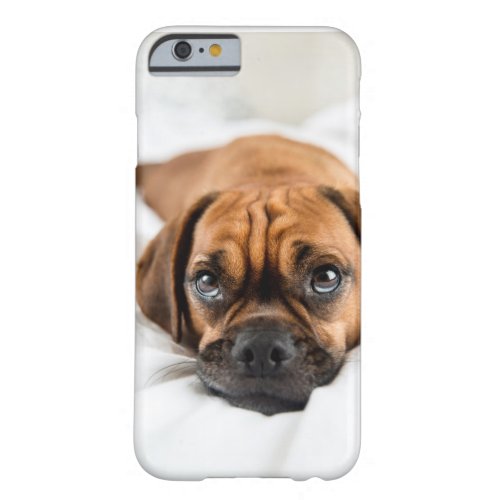 Cute Puggle Dog Case