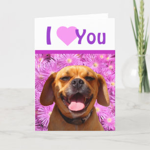 Cute Puggle Valentine Holiday Card
