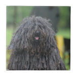 Cute Puli Dog Ceramic Tile
