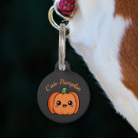 Cute Pumpkin Pet Tag<br><div class="desc">A pet tag with a cute pumpkin on a dark gray background for your dog or cat. Personalize it with a name and a phone number.</div>