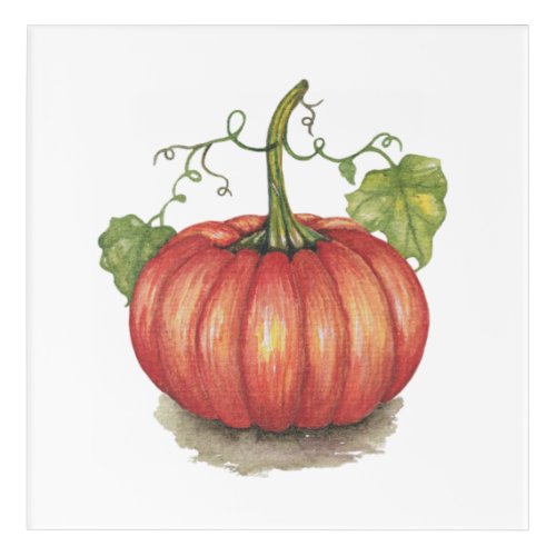 Cute Pumpkin With Vines In Watercolor Acrylic Print